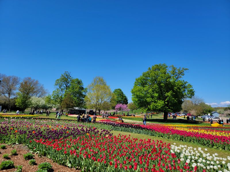 Holland