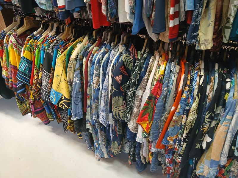 Budget-Friendly Pricing That Respects Your Wallet