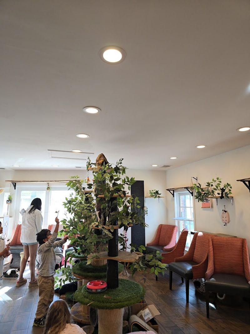 Family-Friendly Fun For All Ages