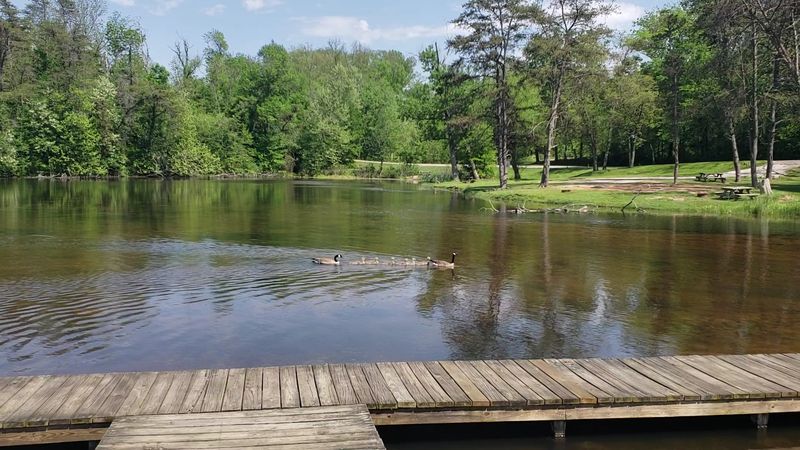 Scales Lake Park Natural Beauty Spots