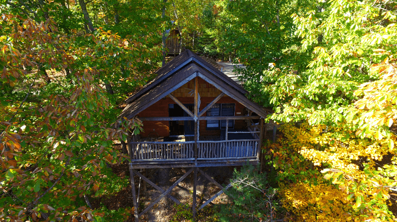 Hot Springs Treehouse Cabins (Hot Springs) 