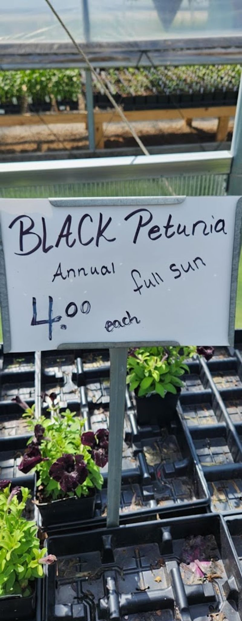 Prices That Make You Double-Check The Tag