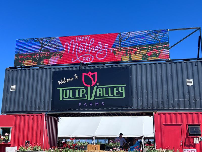 Tulip Valley Farms (Mount Vernon)