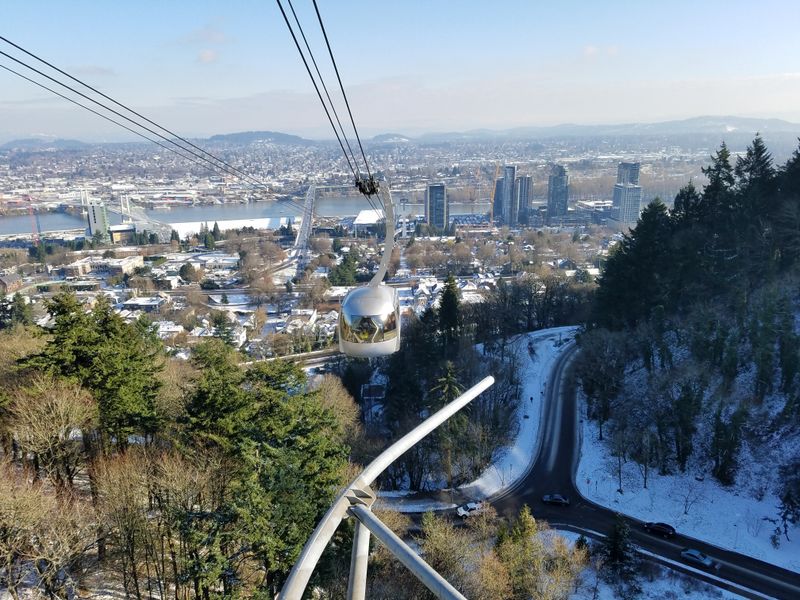 Leaving Portland As The Forest Starts To Close In