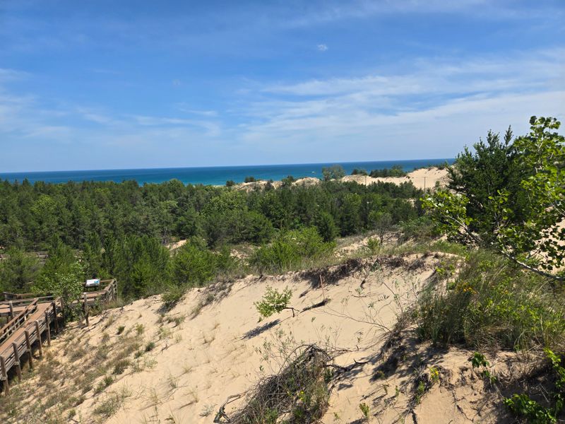 Dune Succession Trail - Indiana Dunes National Park