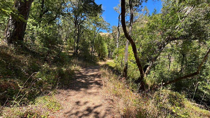 The Four Mile Loop Hits The Sweet Spot
