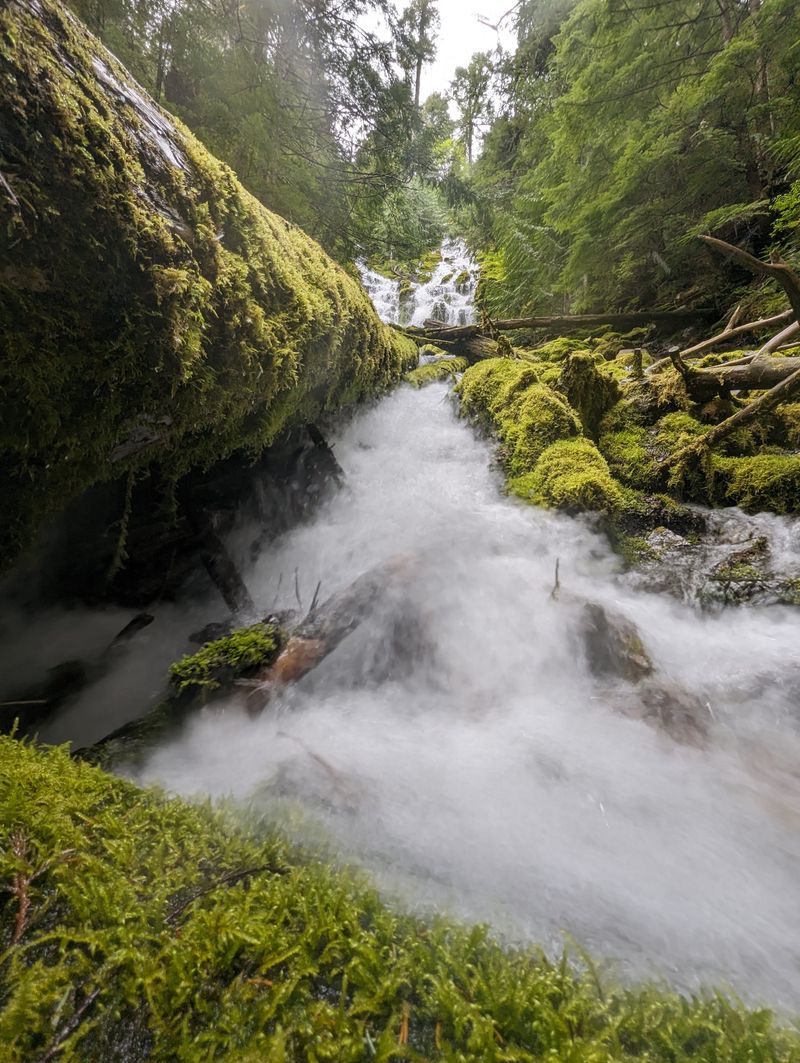 Water That Literally Vanishes Into Thin Air