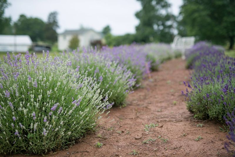 Instagram Moments Around Every Corner