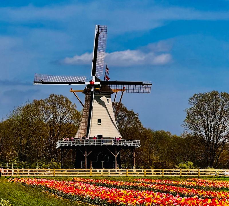 The Authentic Dutch Windmill That Anchors Everything