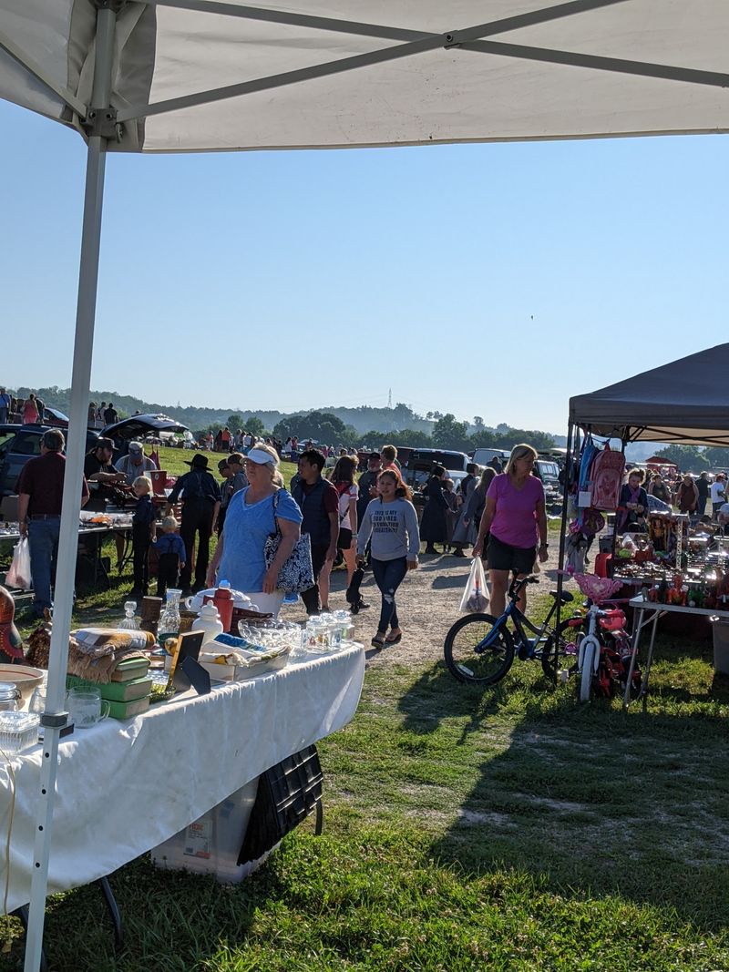 Early Bird Shopping Creates Treasure Hunting Adventures