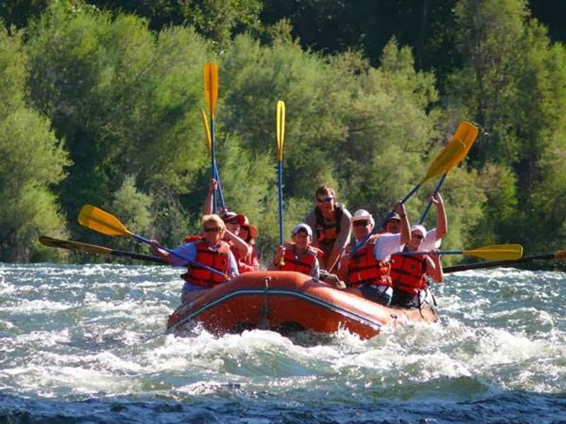 Half-Day vs. Full-Day Trips: Picking Your Adventure