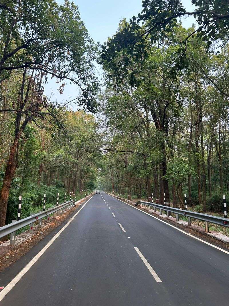 Road Trips Are Easy And Uncrowded