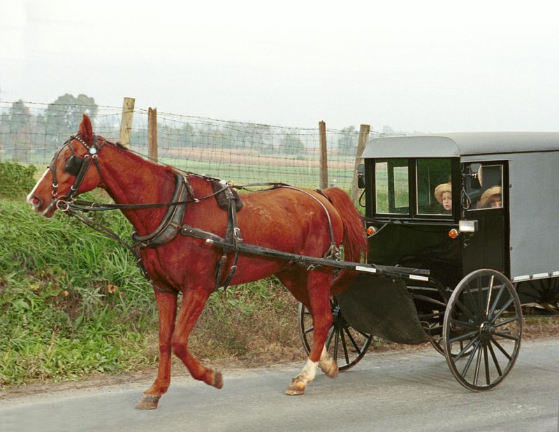 Amish Country Brings Both Peace And Slow Carriages