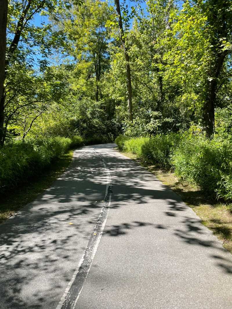 Washington Township Park Contrast Amplifies the Eerie Feeling