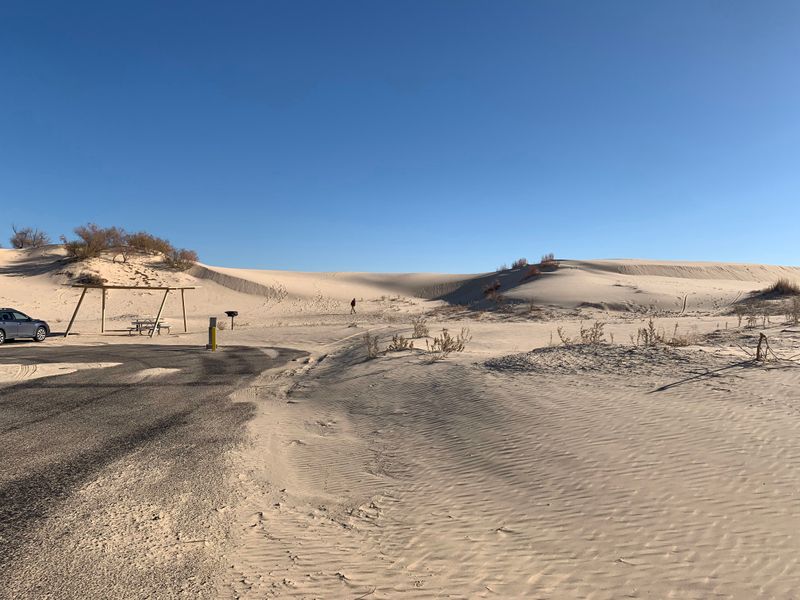 Easy Access Makes This Desert Oasis Surprisingly Convenient