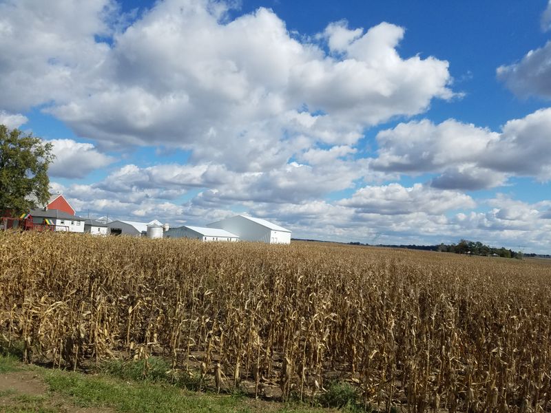 Convenient Location Near Other Attractions