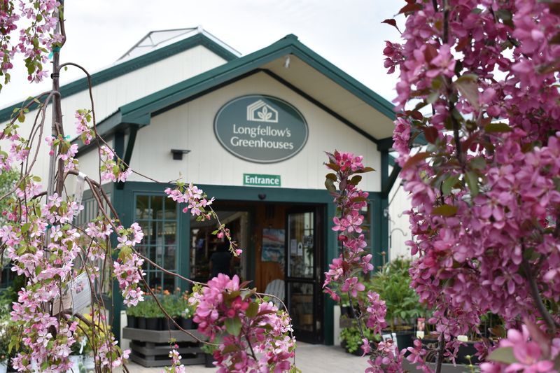 Longfellow House & Gardens 