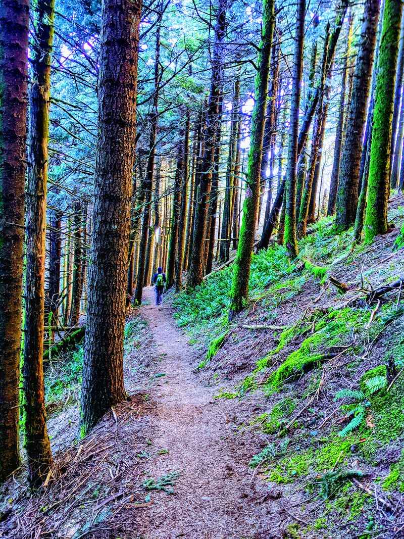 Constant Natural Sounds