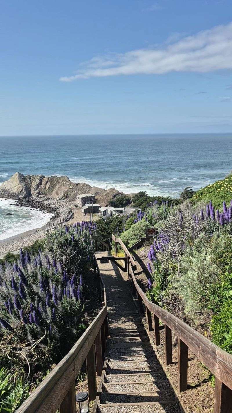 Shelter Cove Beach