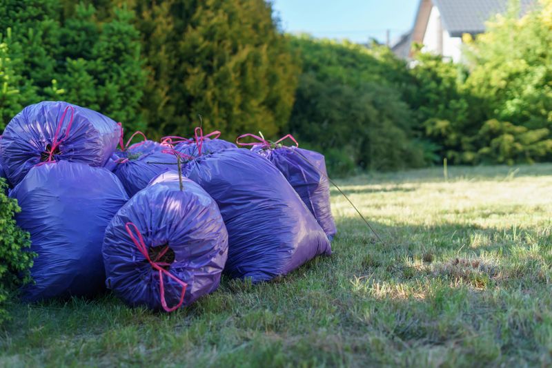 Refusing To Disperse After Festival Closures