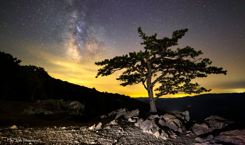 Photography Paradise at Every Season