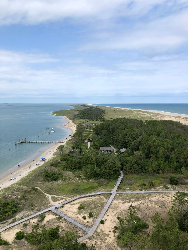 Cape Lookout's Wind-Sculpted Forest