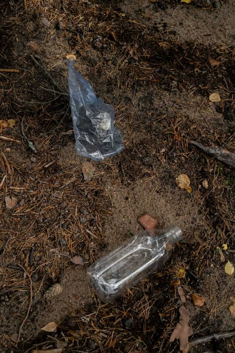 Litter And Food Waste Disrupt Ecosystems Litter And Food Waste Disrupt Ecosystems