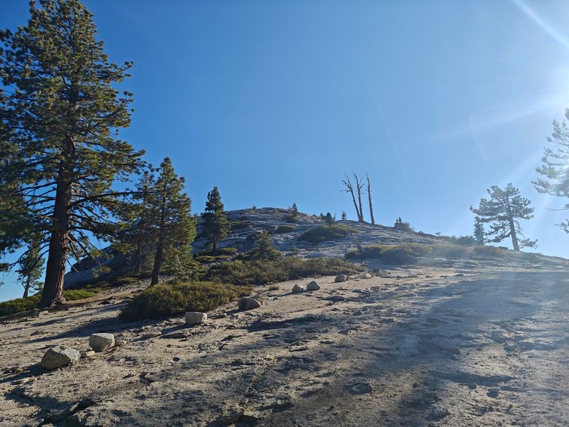 Sentinel Dome Trail