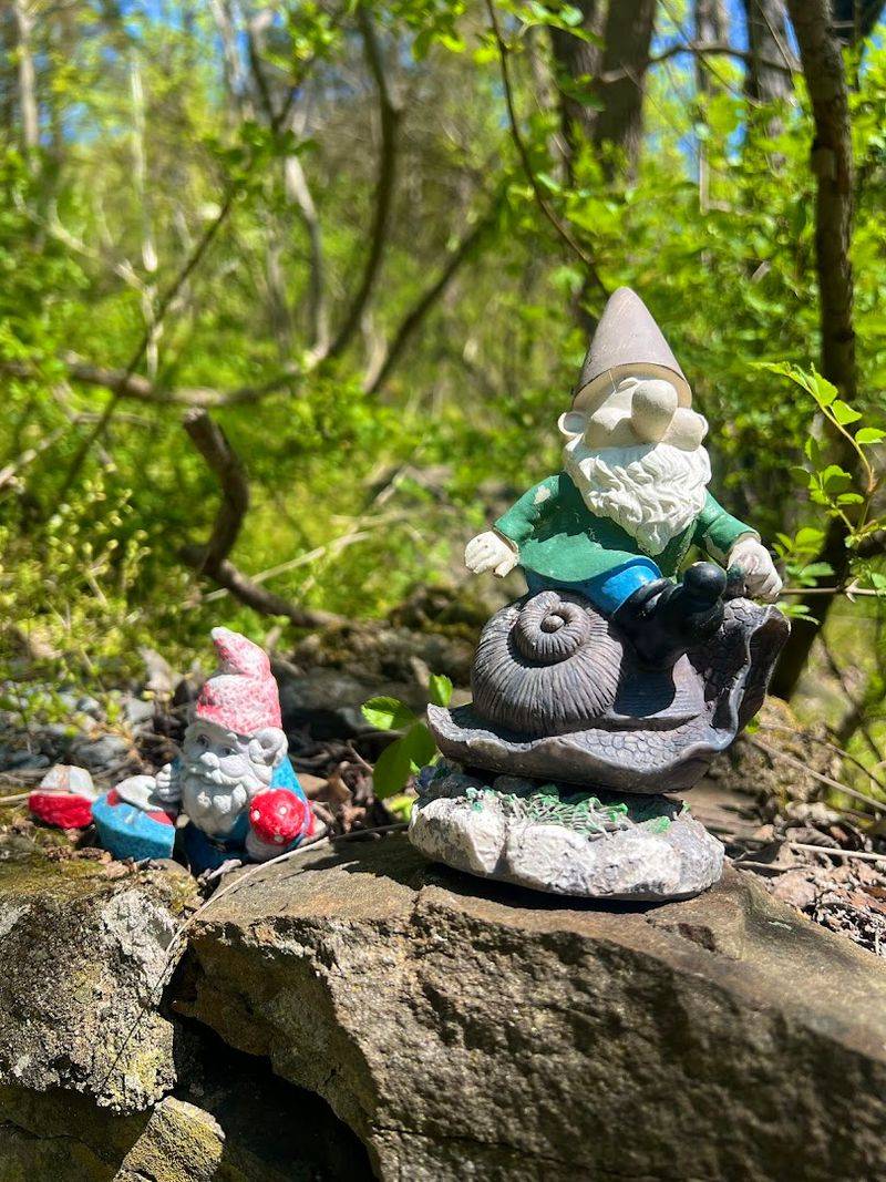 Quiet Solitude And Peaceful Atmosphere