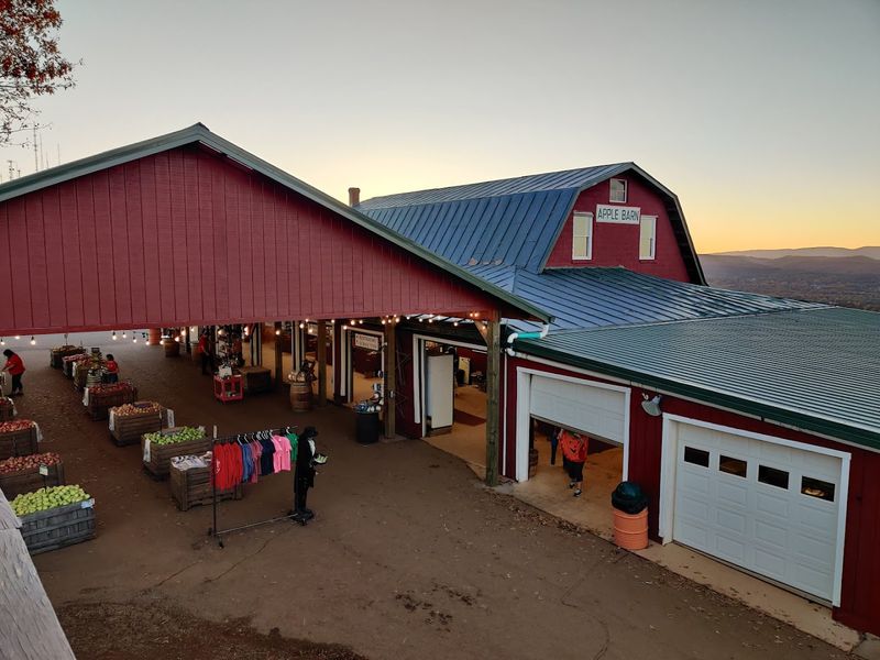 Seasonal Events That Draw The Crowds