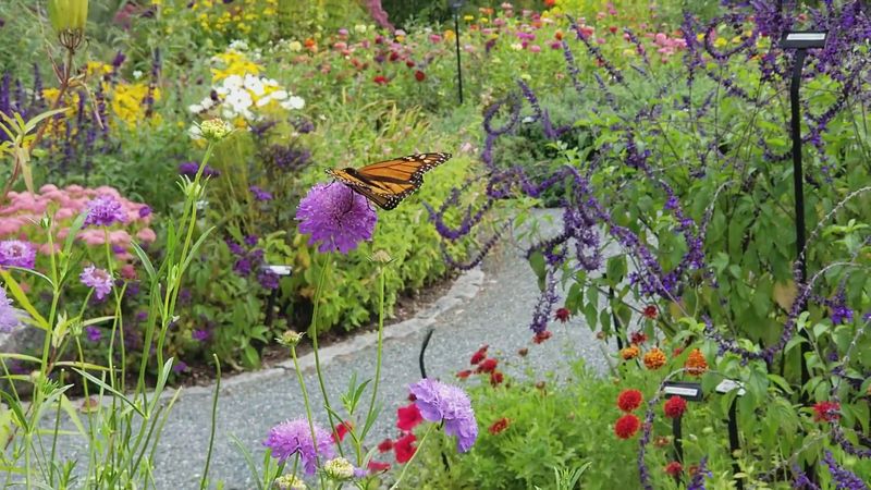 Charlotte Rhoades Park & Butterfly Garden