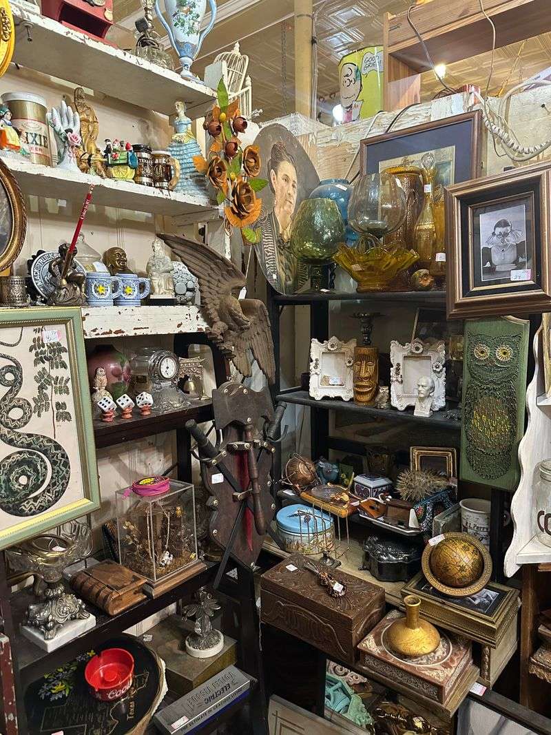 Plastic Purse Collection