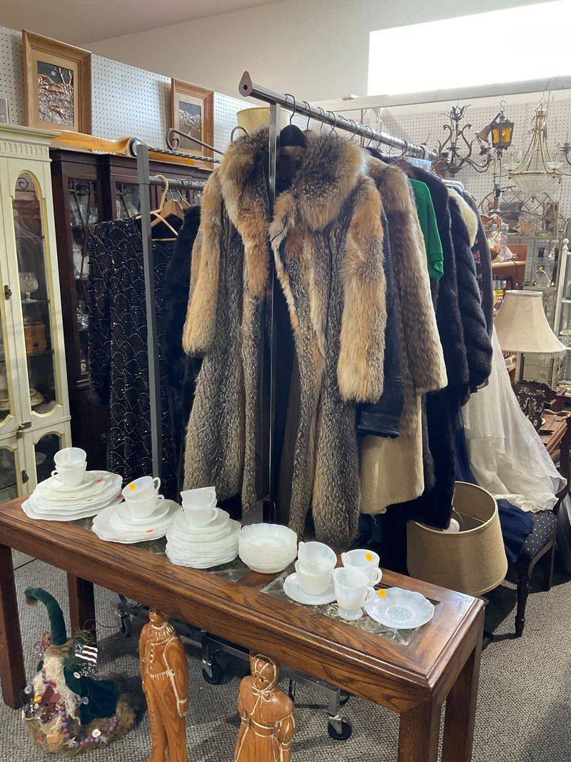 Knowledgeable Staff And Dealers Who Share Their Expertise