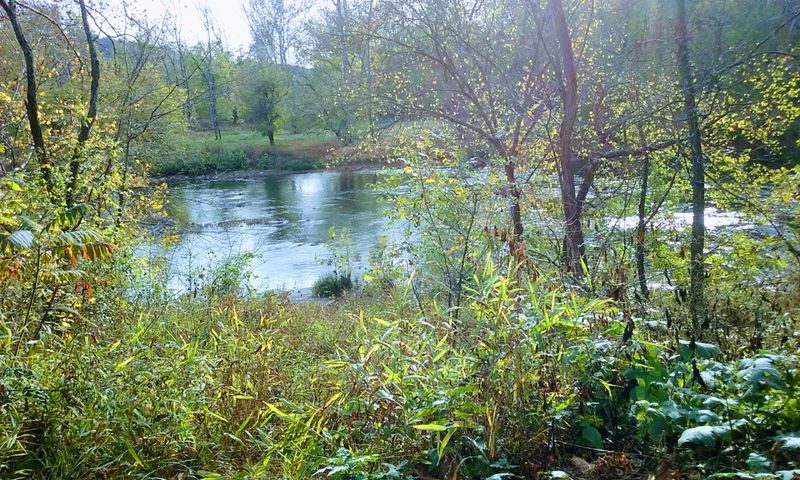 Goshen Pass Natural Area
