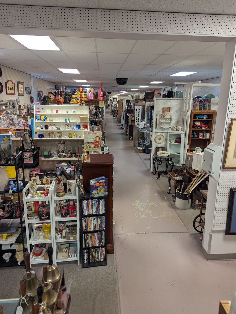 Massive Selection Spanning Multiple Decades