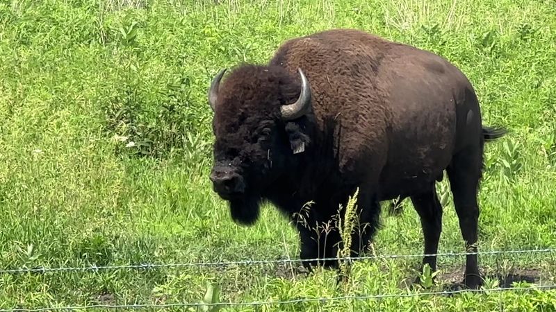 A Perfect Day Trip from Chicago or Indianapolis