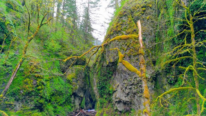 Trail Safety and What to Know Before You Go