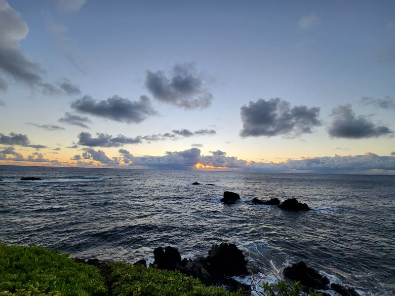 Mist Creates Shifting Shapes