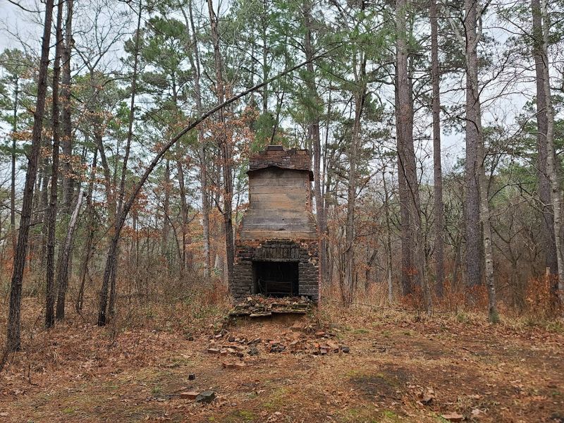 The CCC Legacy Hidden Inside the Forest