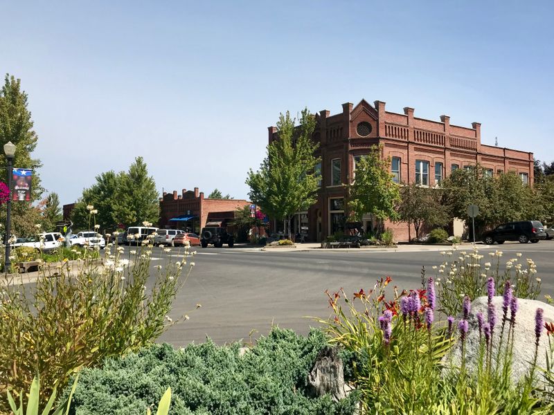 Coffee Roasters and Bakeries