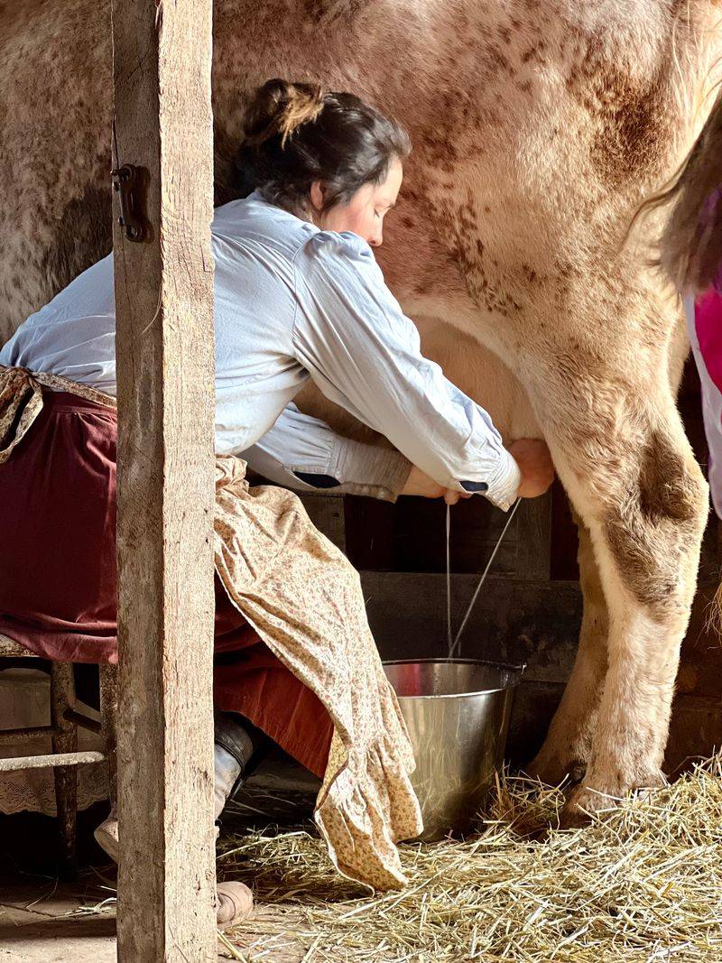 Meet Heritage Livestock Breeds That Time Almost Forgot