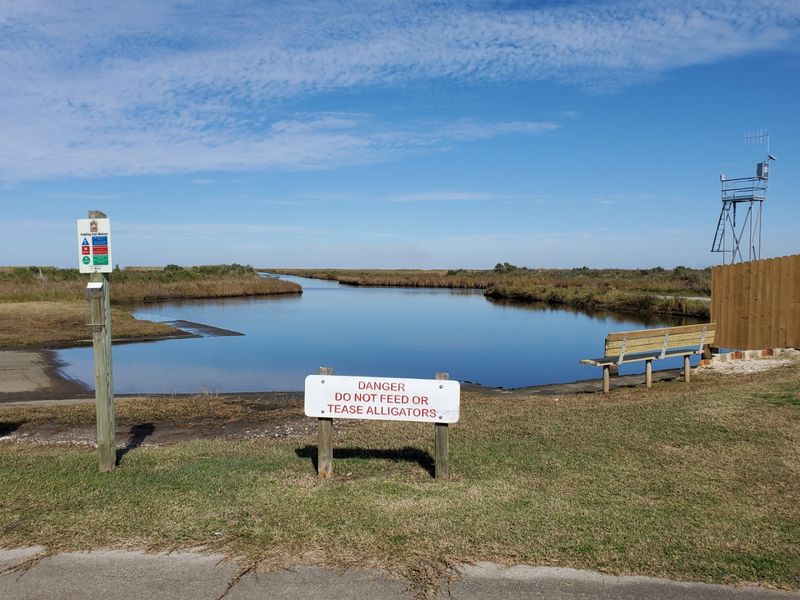 Practical Tips for Visiting Sea Rim State Park
