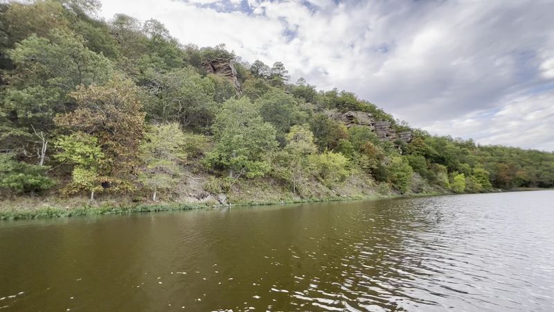 Wildlife That Learned Bad Habits