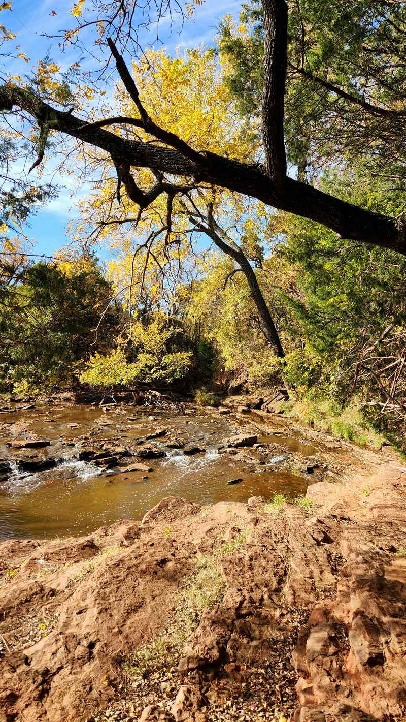 Prairie And Woodland Habitat Diversity