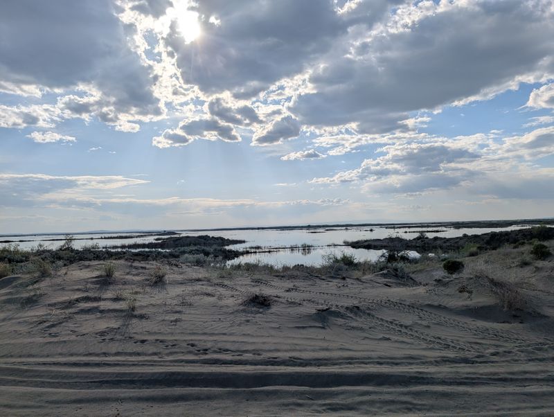 Sand Dunes That Change The Landscape Completely