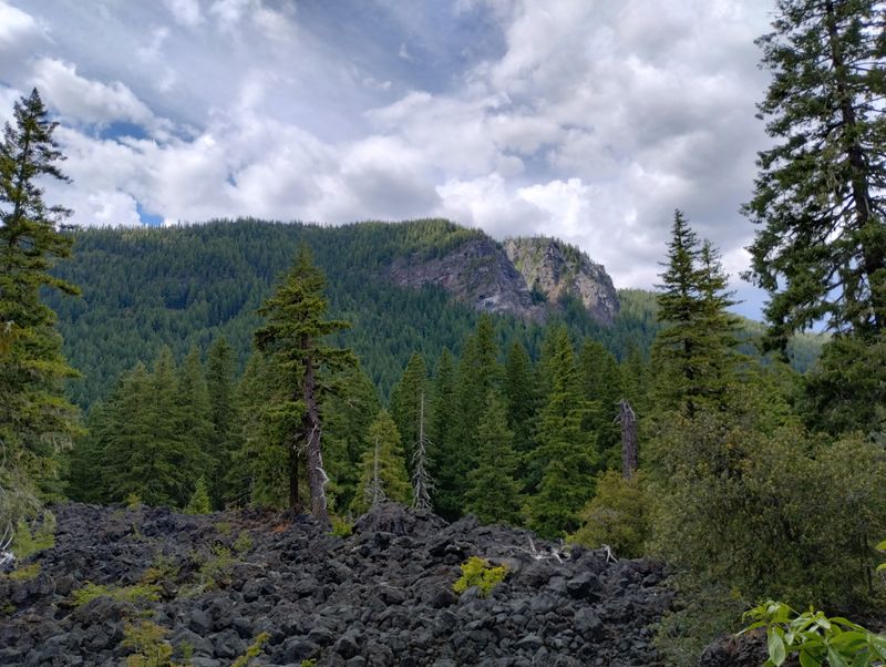 Ancient Lava Fields Meet Lush Forest