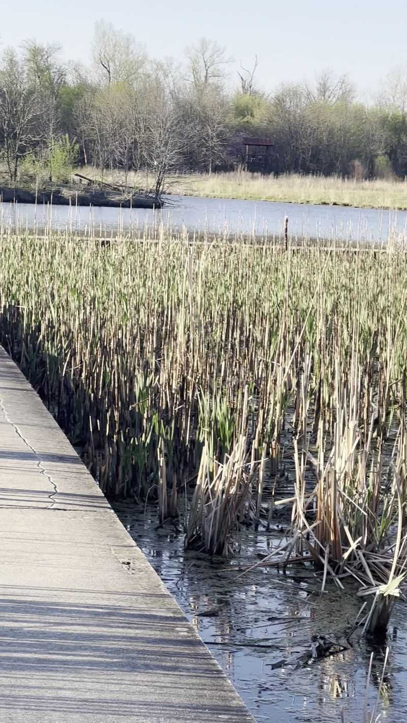 Watershed Nature Center