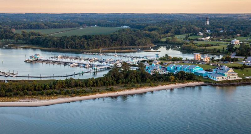 Marina Village Atmosphere That Welcomes Everyone