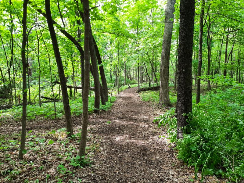Hidden Oaks Nature Center