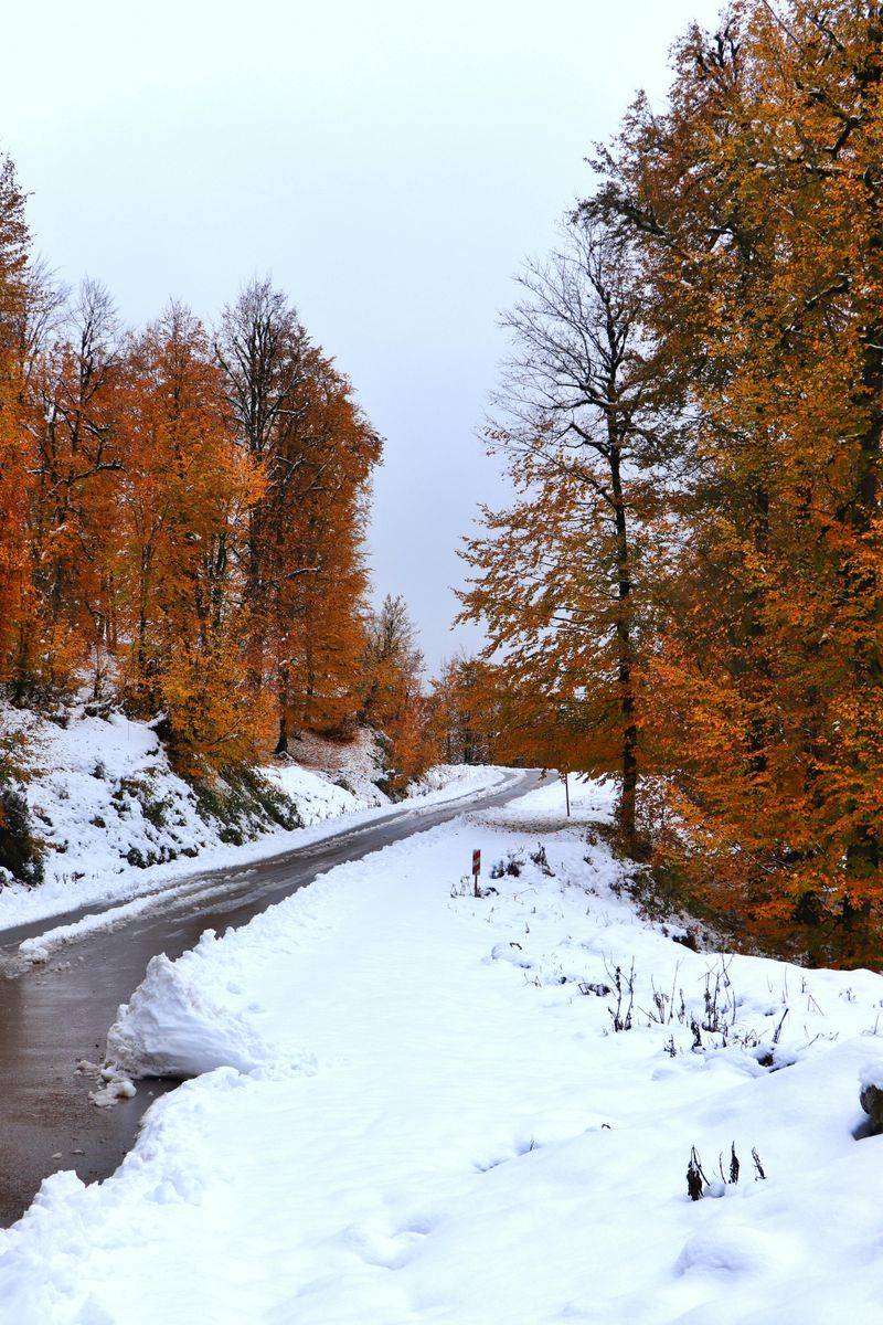 Seasonal Changes That Feel Personal